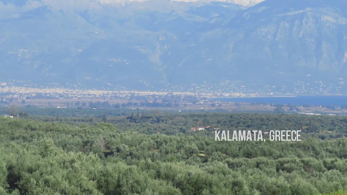 'Video thumbnail for Oliviada Olive Tree Adoption in Greece'