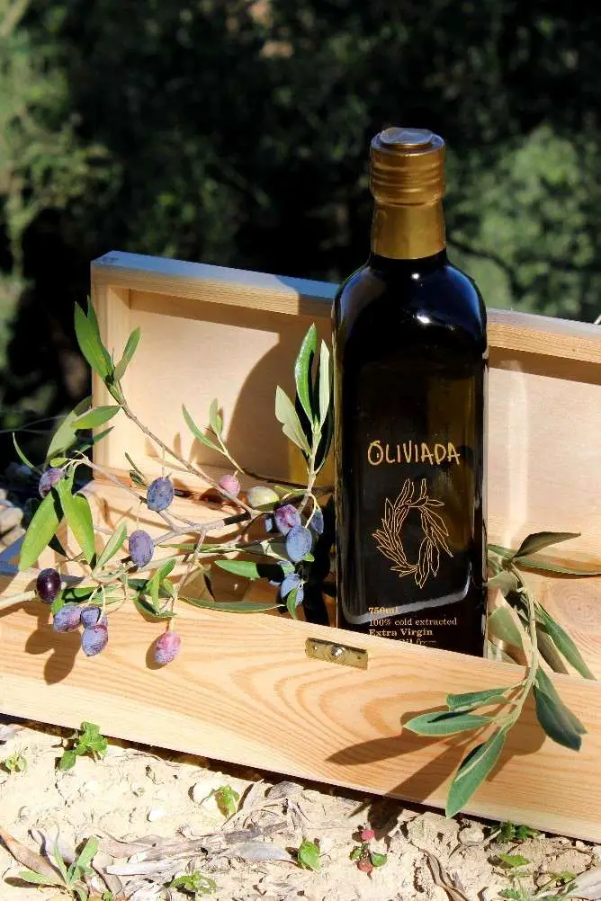 olive oil gift set