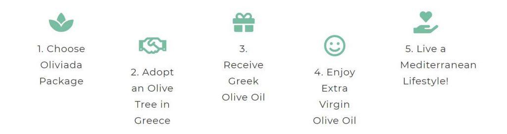 adopt an olive tree 6