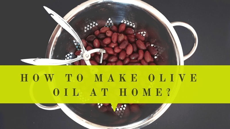 how to make olive oil at home