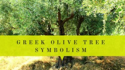 Greek olive tree symbolism