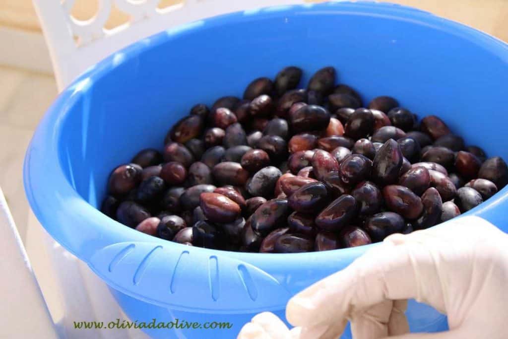 Organic Kalamata olives Oliviada