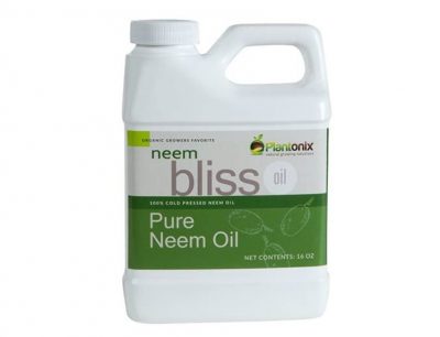 fertilizer for olive tree