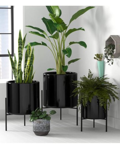 Amazon brand ceramic planter