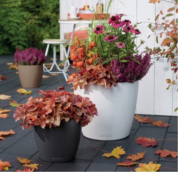 Lechuza classic self watering planter for trees