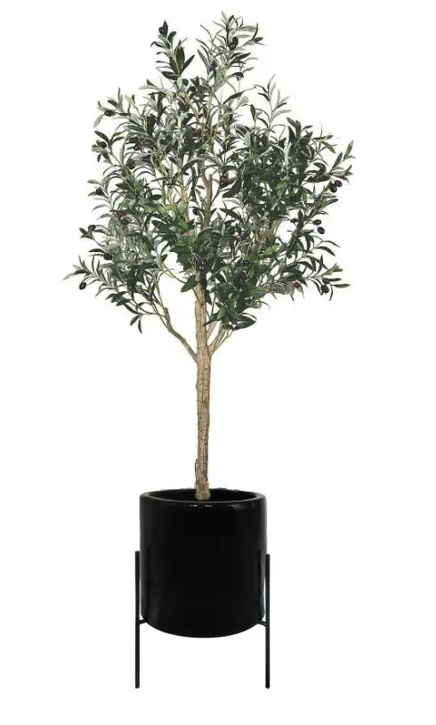 olive tree in large pot ceramic