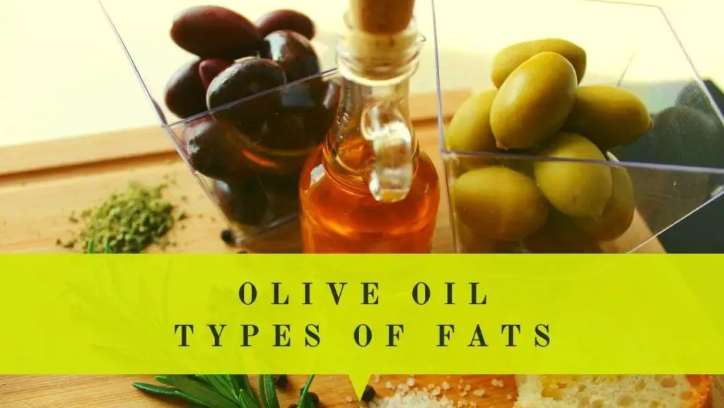 olive oil fats type cover