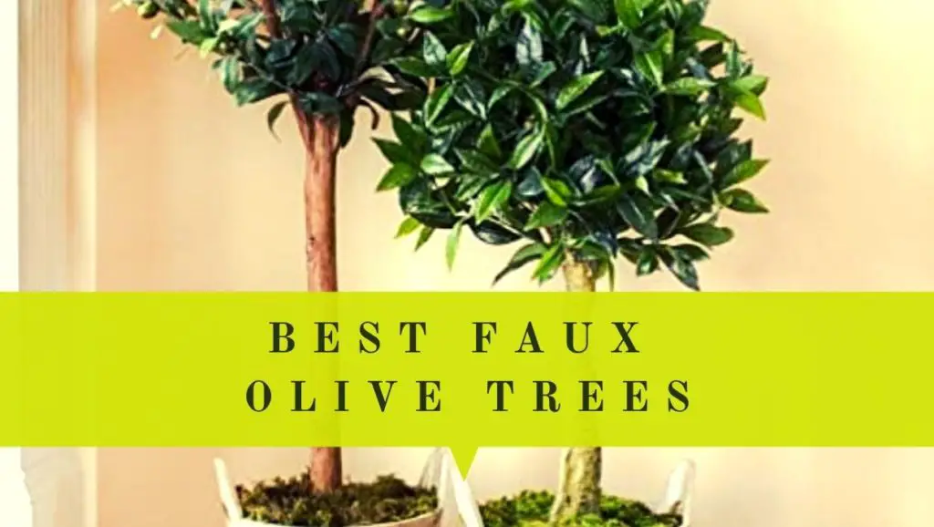 best faux olive trees