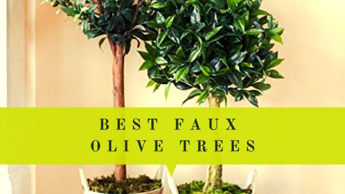 Best Faux Olive Trees Guide For Home Décor My Top 5 Pick (Updated 2021)