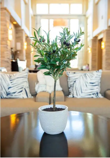 Premium Range LEAF-7384 125cm Luxury Artificial Olive Tree 