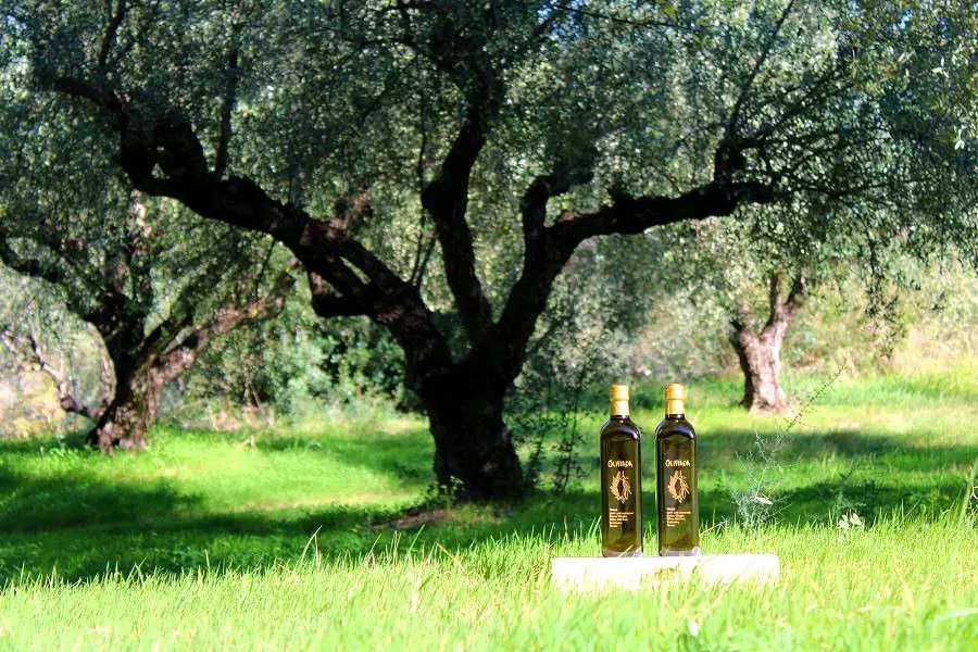 about us oliviada olive oil