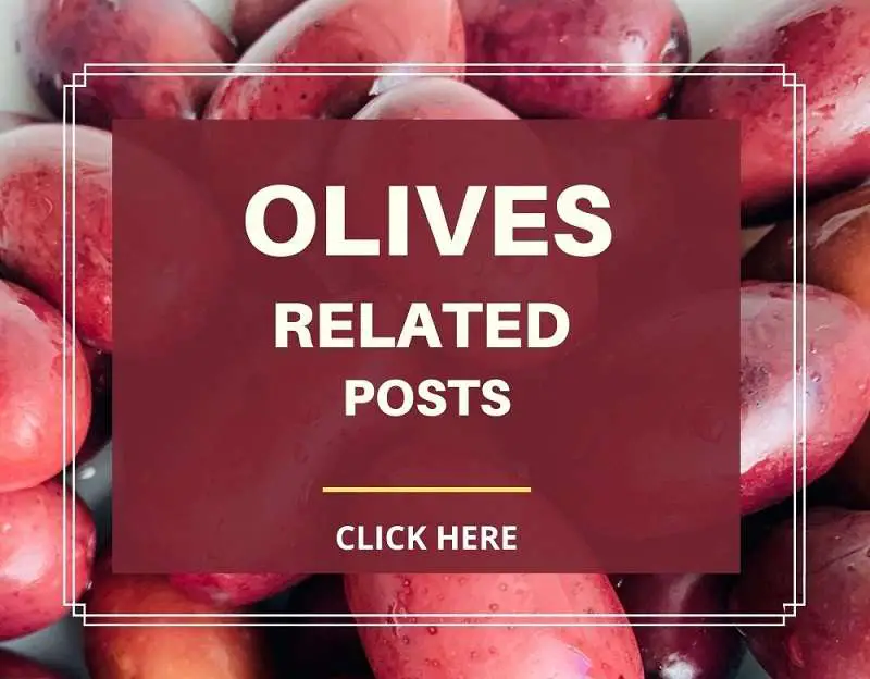olives related knowledge articles