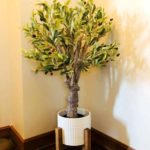 topiary artificial olive tree