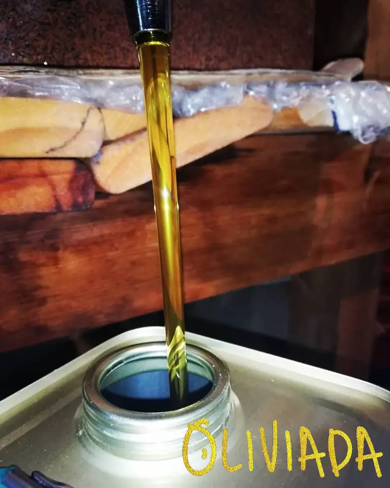 Kalamata olive oil golden