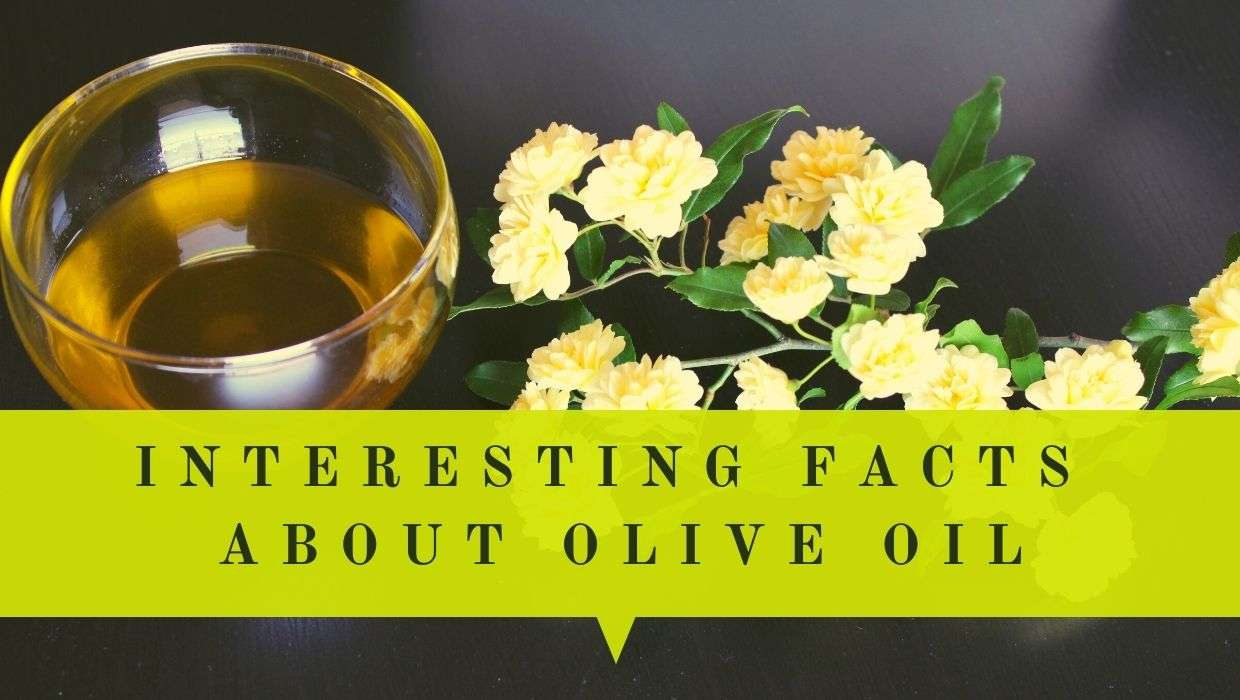 20 Amazing Facts About Olive Oil Oliviada 20 Amazing Facts About Olive Oil Oliviada