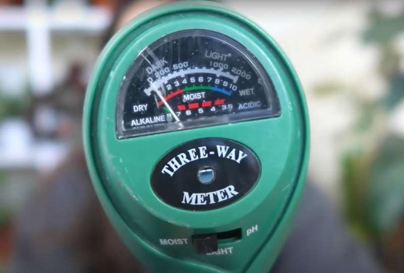 moisture meter readings