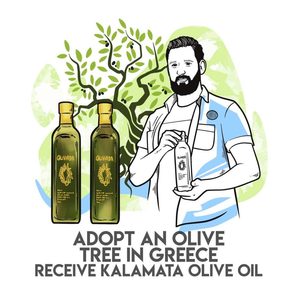 adopt an olive tree in greece  receive kalamata olive oil