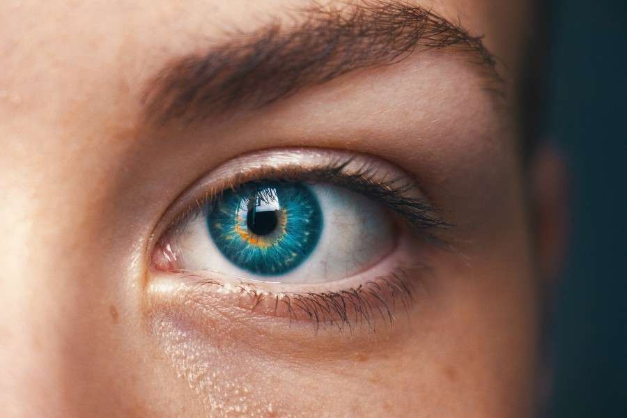 best olive oil for eyelashes eyebrows