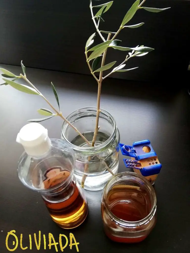 natural rooting hormones apple cider honey cinnamon 2
