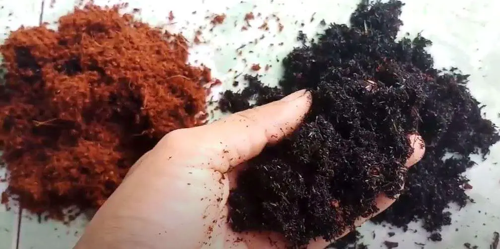 soil mix 1
