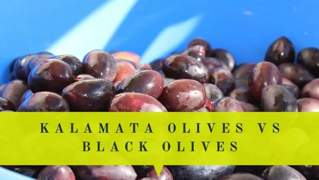 kalamata olives vs black olives differences and similarities