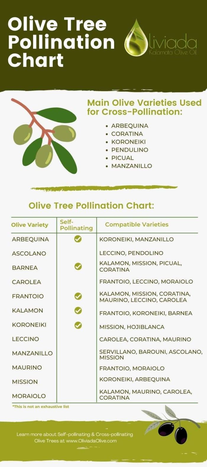 Selfpollinating & Crosspollinating Olive Trees Oliviada