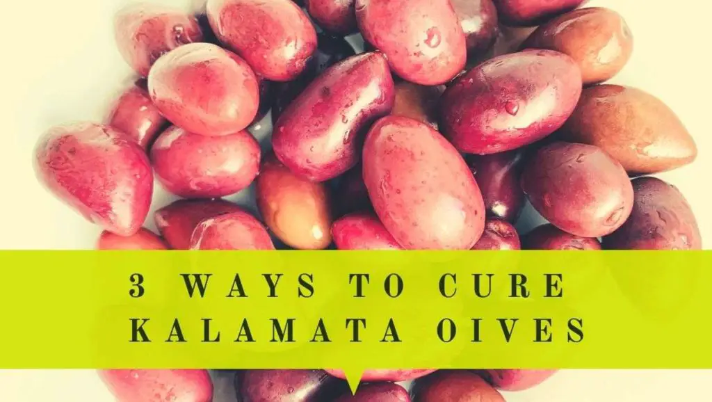 How to cure Kalamata olives in 3 different ways