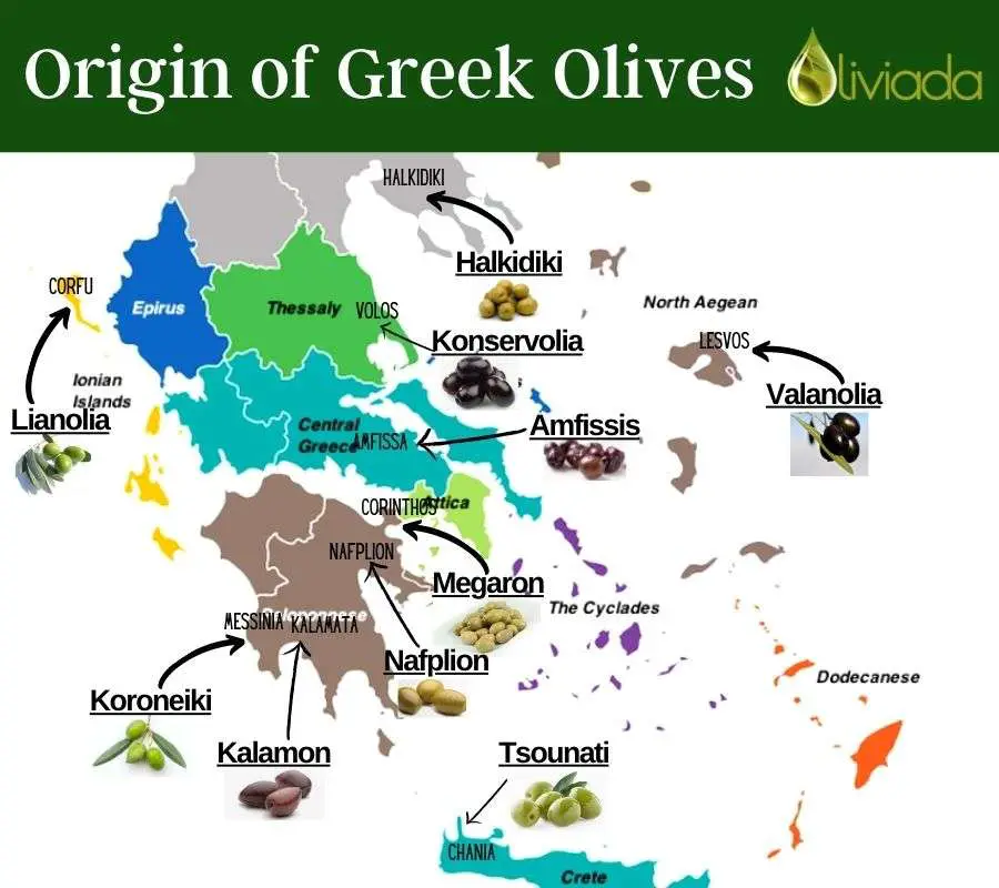 Greek Olives Origin 1