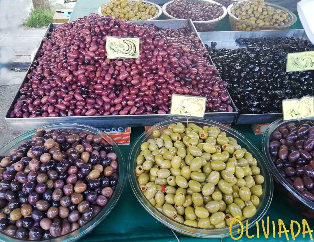 Greek olives varieties 2