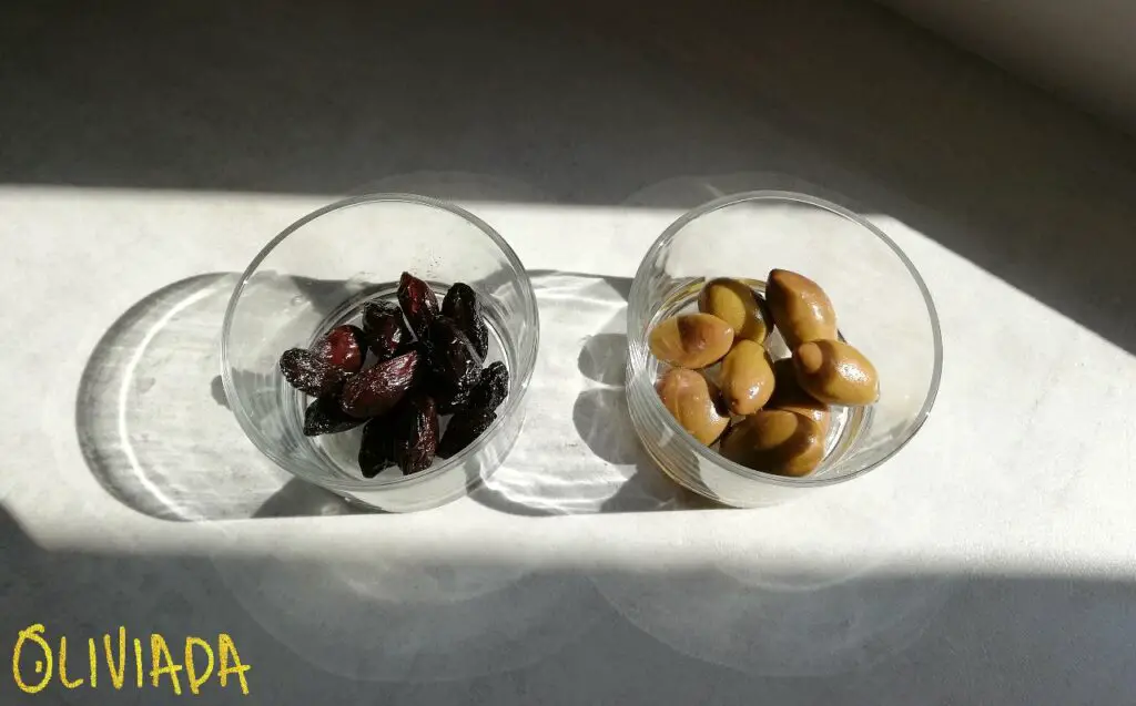 black olives vs green olives