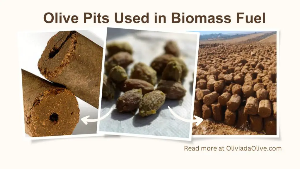 olive pits used in energy