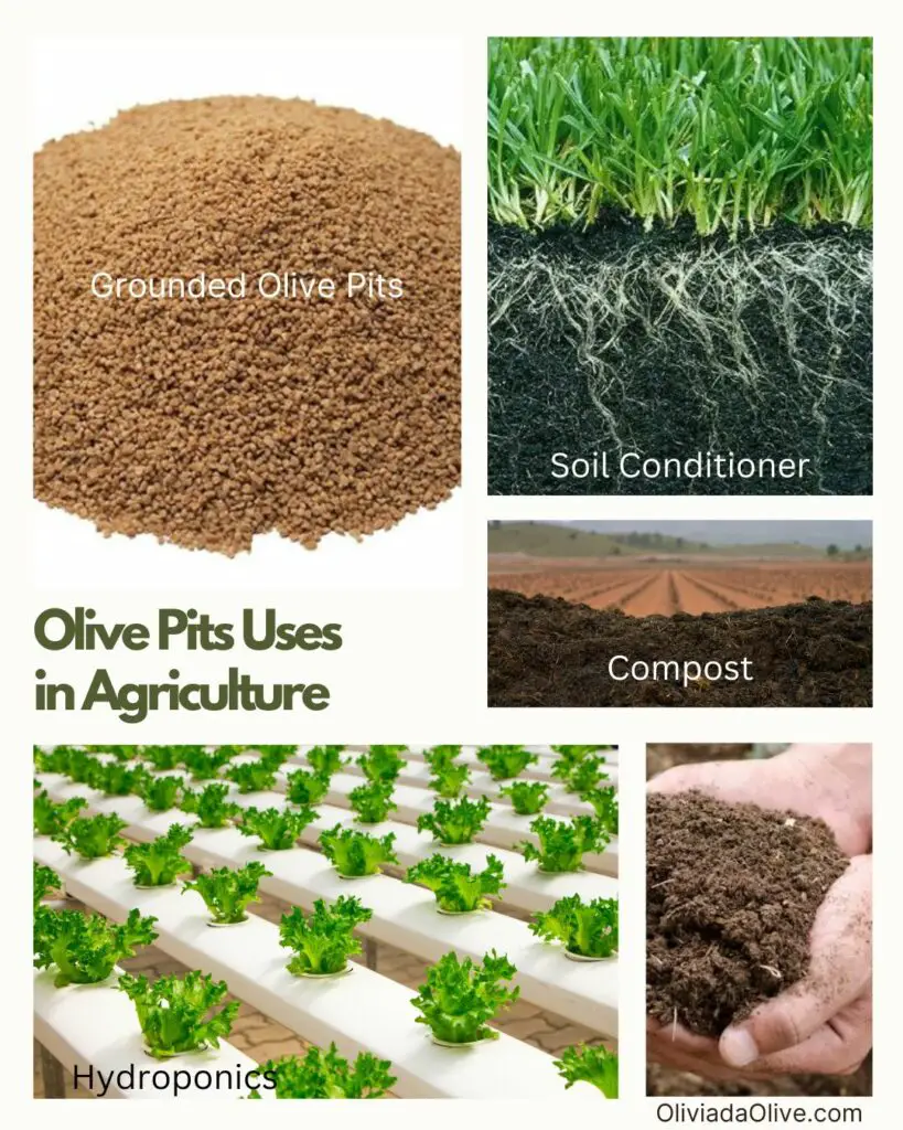 olive pits uses in agriculture