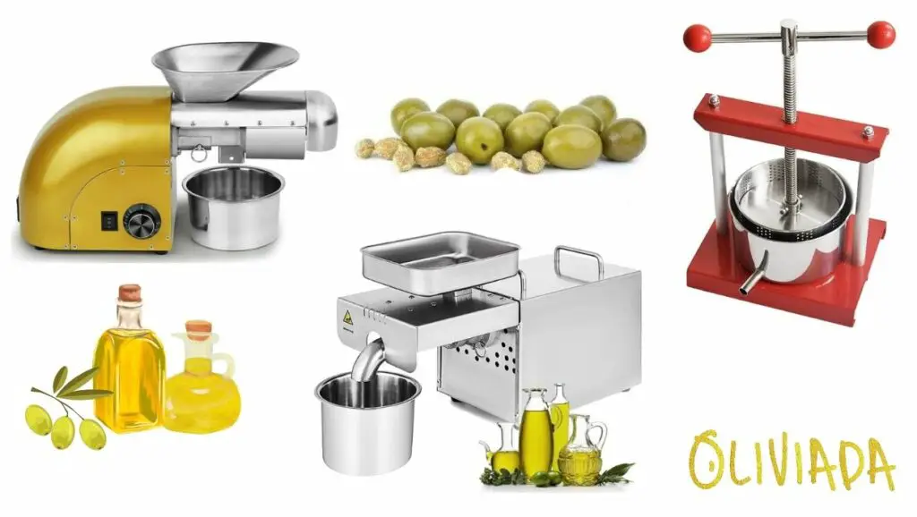 Different models of quality olive oil press machines for home use, illustrating a variety of options available for producing homemade olive oil.