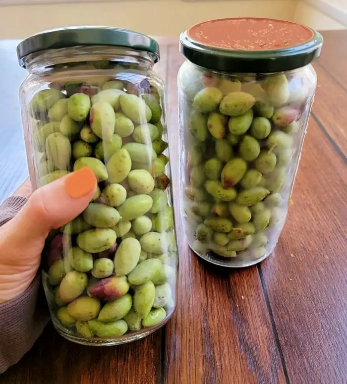 Spots On Olives Are They Dangerous Or Safe To Eat?