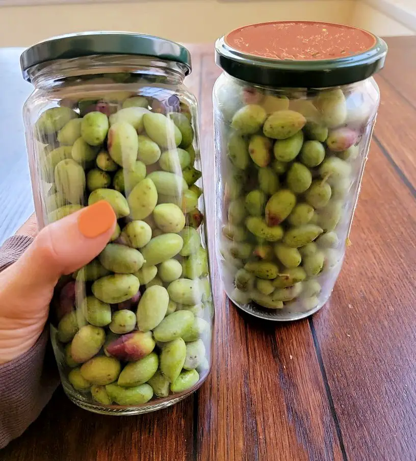 olives in a jar black spotted