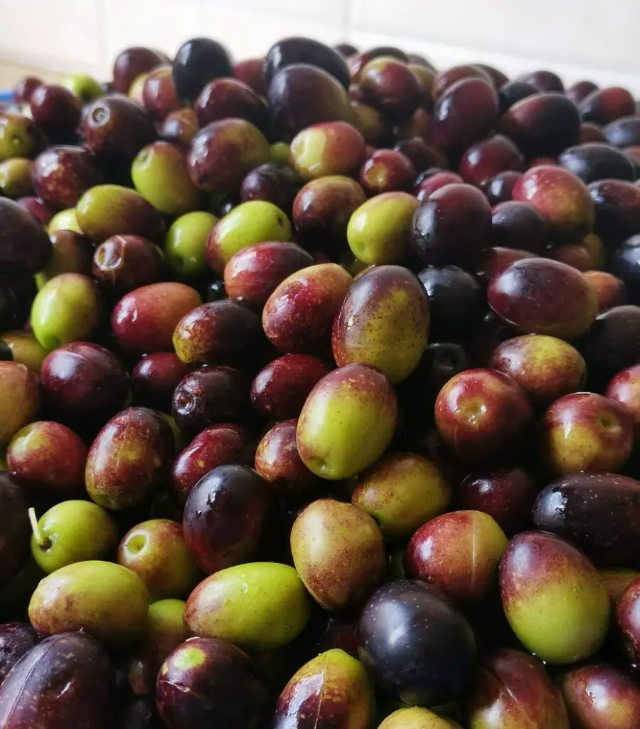 olives with spots gained naturally