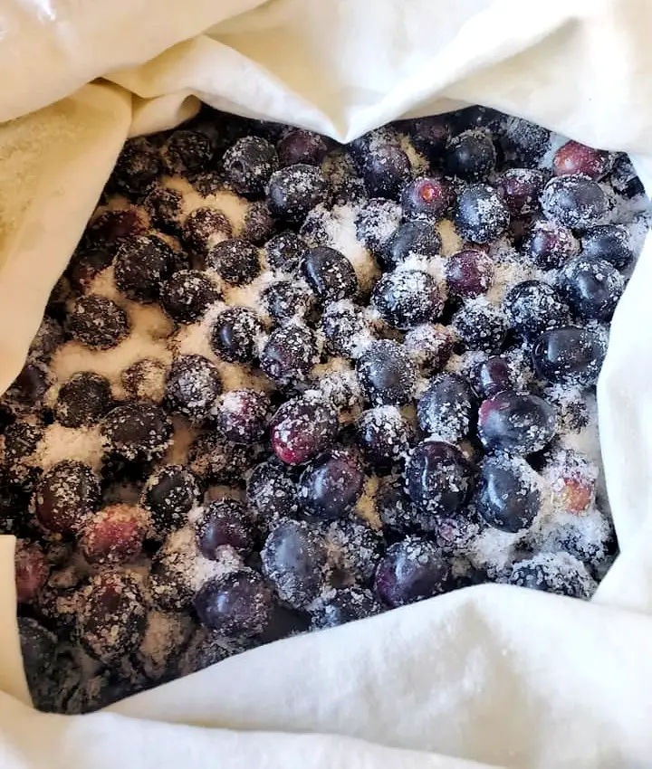 preserved olives dried in salt